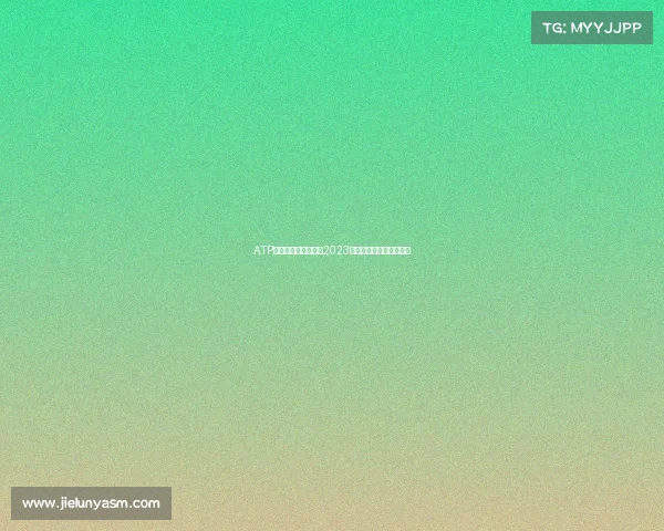 ATP美国网球赛事全景：2023赛季精彩回顾与未来展望